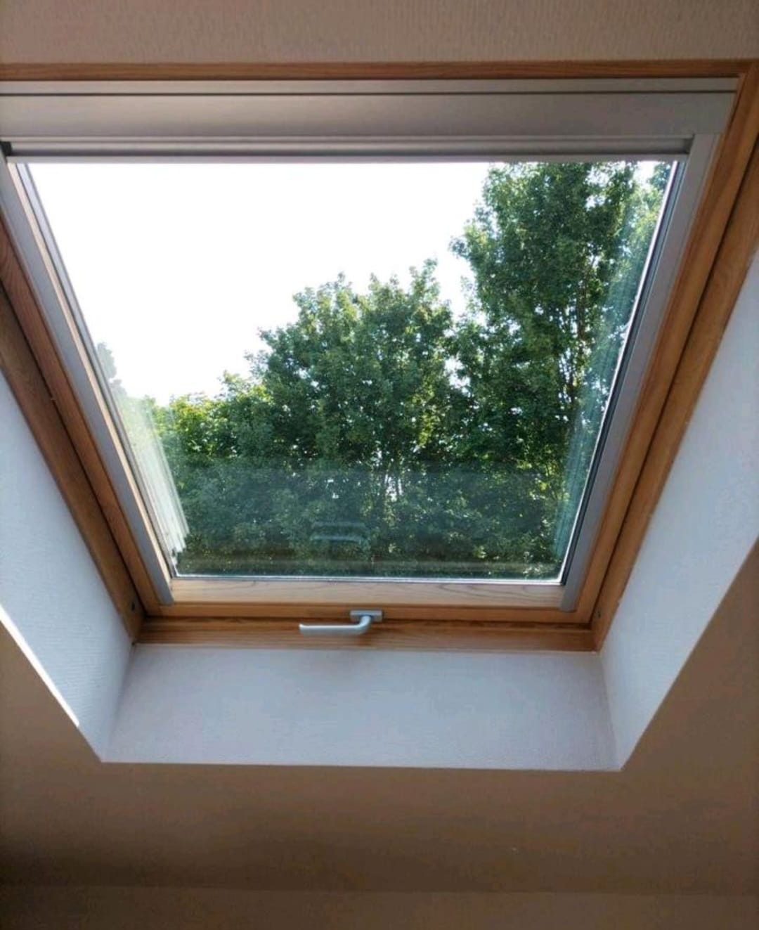 Streifenfrei gereinigtes Dachfenster mit klarem Blick ins Grüne